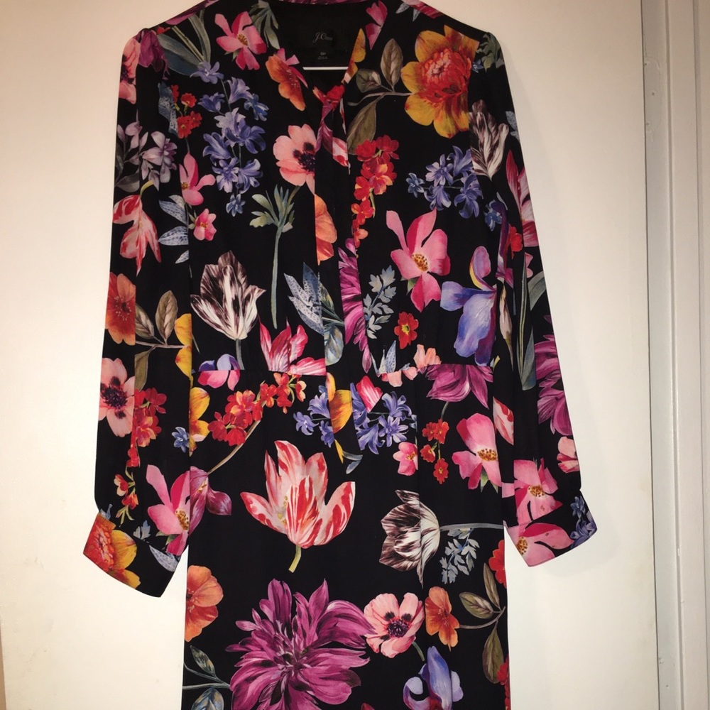 J Crew dress, petite 8, long sleeves